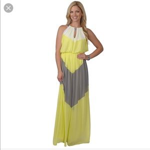 Floor Length Vince Camuto Halter Dress!!